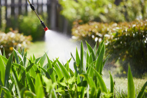 24/7 Emergency Termite Control experts in Decatur, TN